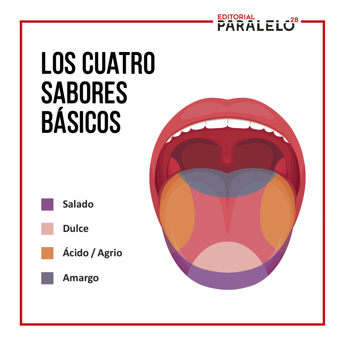 Imagen de la noticia Los Cuatro Sabores Básicos